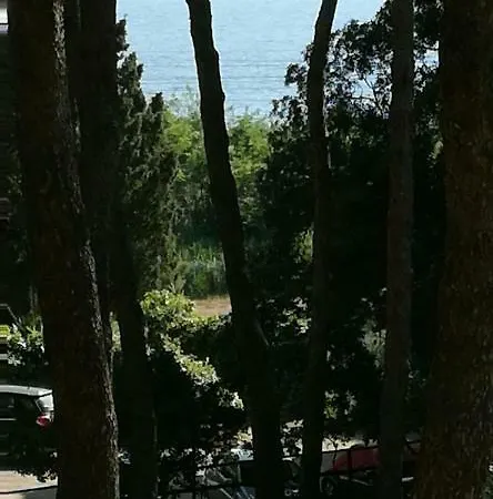 Apartment Monolocale In A Castiglioncello