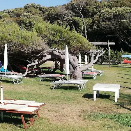Monolocale In A * Castiglioncello