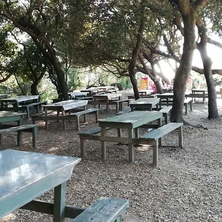 Monolocale In A Castiglioncello