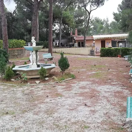 Monolocale In A * Castiglioncello